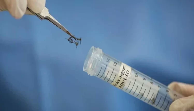 up-first-zika-virus-patient-found-in-kanpur-delhi-team-engaged-in-investigation