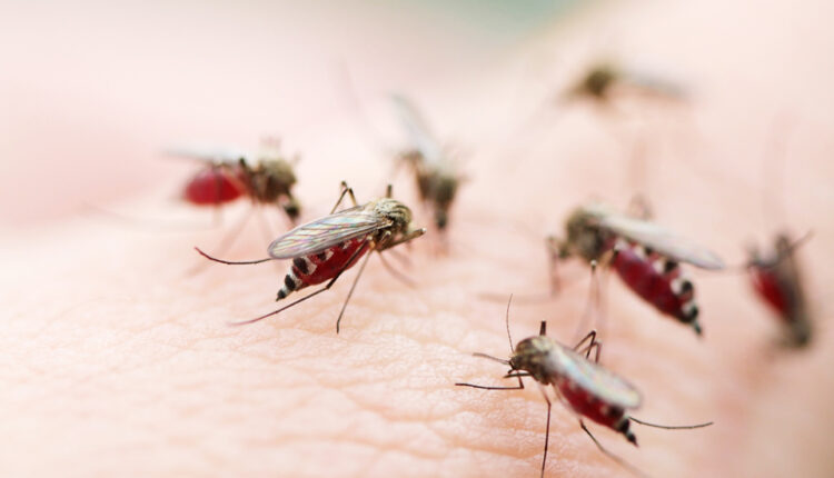 worlds-first-malaria-vaccine-approved-by-who