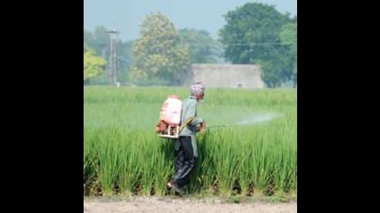 himachal-farmers-demand-adequate-fertiliser-supply