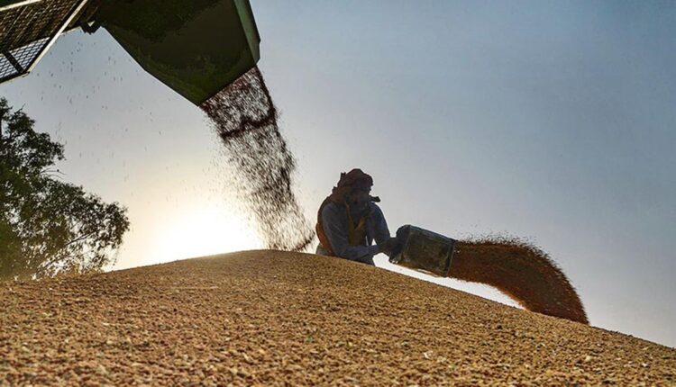 centre-to-send-reps-to-9-countries-to-discuss-wheat-exports