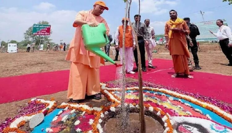 the-record-of-planting-25-crore-saplings-is-again-made-in-uttar-pradesh-the-campaign-will-run-till-july-7