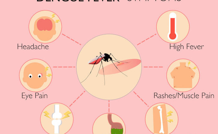 Dengue fever wreaks havoc in Lucknow, patients will be treated 24 hours at Lokbandhu Hospital